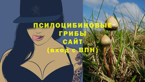 прущие крисы Баксан
