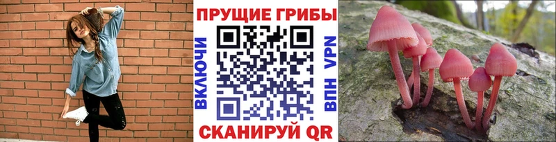 Псилоцибиновые грибы мухоморы  купить   Бугульма 