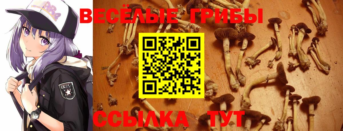Галлюциногенные грибы ЛСД Бугульма