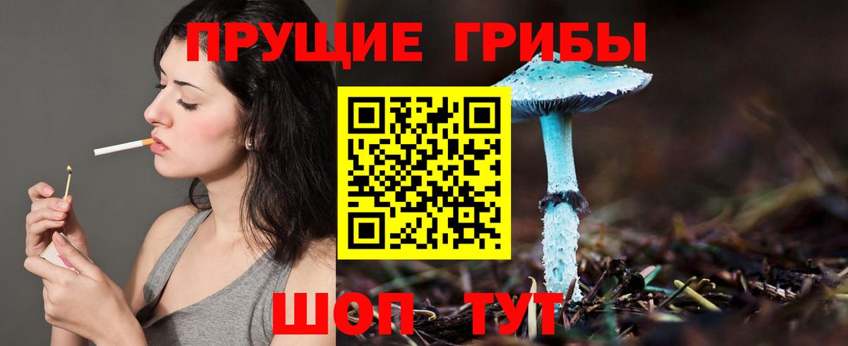 Галлюциногенные грибы MAGIC MUSHROOMS Бугульма